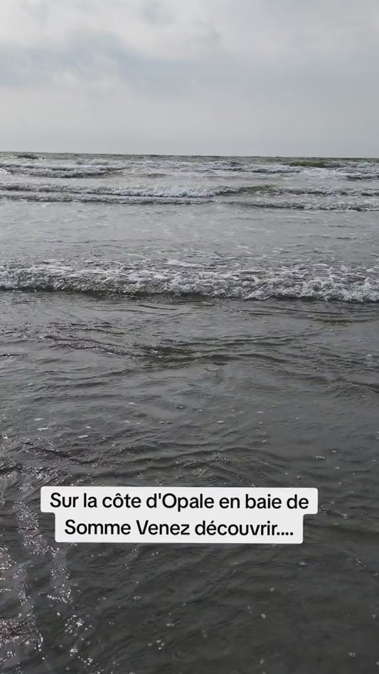 Boucle d'oreilles monde marin