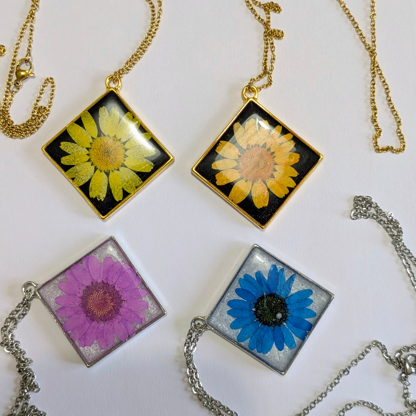 Colliers marguerites naturelles